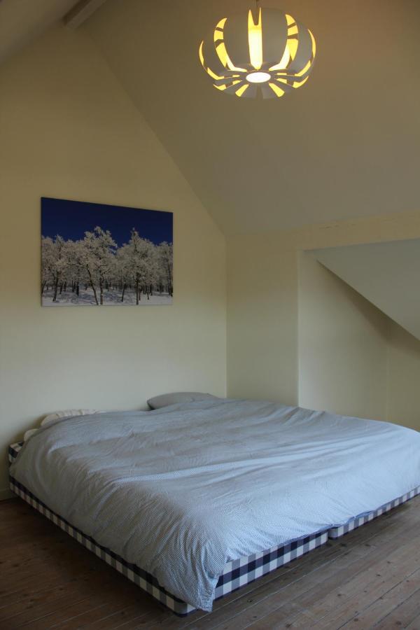 Villa Louise *